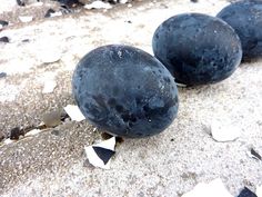 three blueberries sitting on the ground next to each other