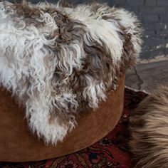 a close up of a dog bed on a rug