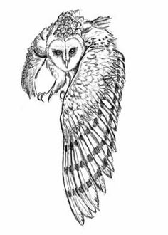 a drawing of an owl flying with its wings spread out and it's eyes open