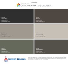 the color scheme for sherylin - williams's colorsnap visualizer