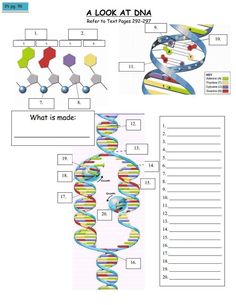 the structure and structure of a human's body, with diagrams on each side