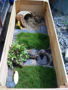 a wooden box filled with green grass next to a small tortoise in it