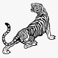 a black and white drawing of a tiger sitting on its hind legs with one paw in the air