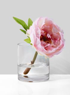 a single pink flower in a clear glass vase with water and green leafy stems