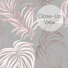 close up view of pink and grey leaves on a gray background with the text close - up view