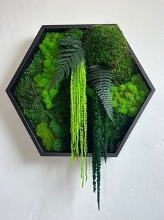 a green wall hanging on the side of a white wall with plants and leaves in it