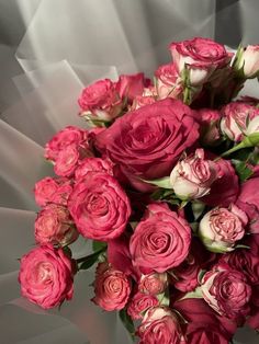 a bouquet of pink roses in a vase