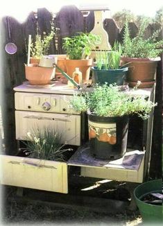 an old stove with potted plants on top