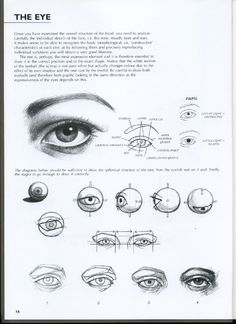 an instruction manual for drawing the human eye