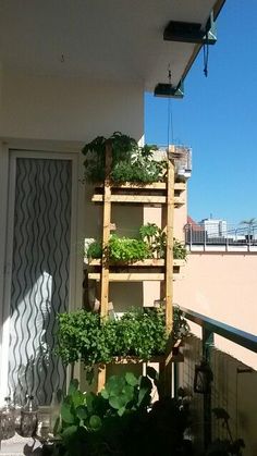 a balcony with several plants growing on it