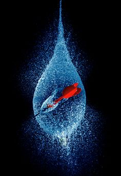 a red umbrella floating in the water on a black background with splashing around it