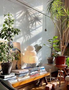 a living room filled with lots of potted plants on top of a wooden table