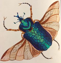 a drawing of a blue and yellow insect on a white background