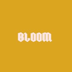 the word bloom written in white on an orange background