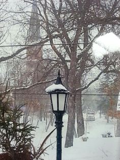 a street light covered in snow next to trees