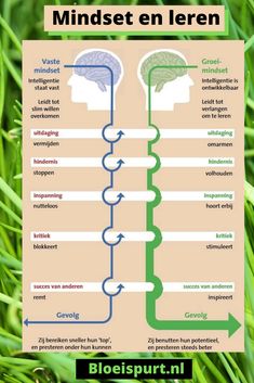 a poster showing the different types of plants and their names in french, with an image of