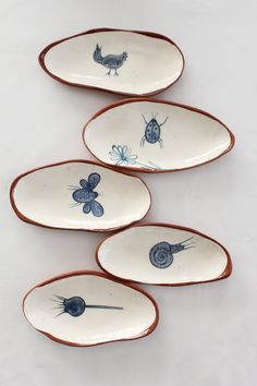 four plates with bugs on them sitting next to each other in front of a white background