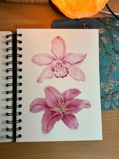 Gouache Art Ideas, Lily Flower Watercolor, Lily Flower Drawing, Lily Paintings, Lilies Watercolor, Lily Drawing, Watercolor Lily, Lily Watercolor, Lilies Drawing