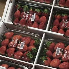 several plastic containers with strawberries in them