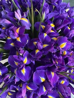 a bouquet of purple flowers sitting on top of a table