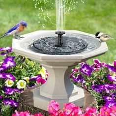 two birds sitting on top of a birdbath with water coming out of it