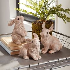 three little rabbits sitting on top of a table next to a potted plant and books