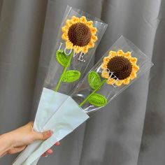 three sunflowers in clear vases with green leaves on the stems, one being held by a woman's hand