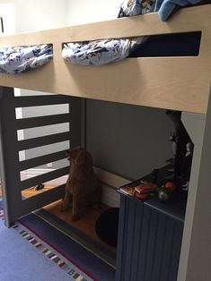 a brown dog sitting under a bunk bed