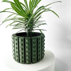 a green potted plant sitting on top of a white table