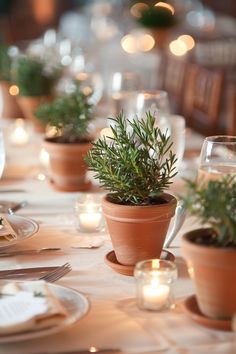 there are many potted plants on the table at this dinner party, but no one is in it