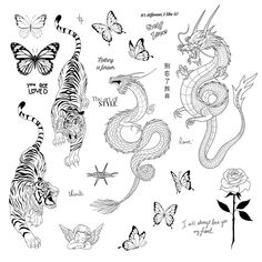 dragon and tiger tattoo designs on white paper with butterflies, roses, and butterfly wings