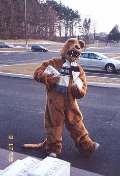 a person in a bear costume standing on the street