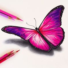 a drawing of a pink butterfly with two pencils next to it