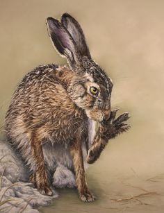 a painting of a brown and white rabbit holding something in it's mouth while sitting on top of a rock