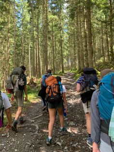 group of people with backpacks walking in the woods