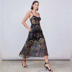 Gorgeous, New With Tags, Mesh And Floral Dress. Stunning On, Sheer Panels On The Bodice And Lower Half Of Skirt. Womens Abs, Garden Dress, Sheer Shorts, Floral Dress, Bodice, Size 2, Midi Dress, Mesh, Womens Dresses