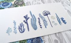 some blue flowers and plants on white paper