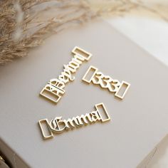 two metal name tags sitting on top of a white box next to some dried grass