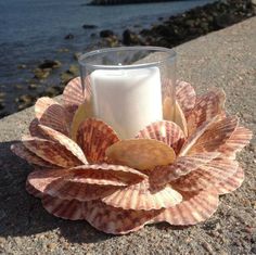 a candle sitting on top of a shell next to the ocean