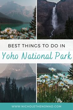 the best things to do in yoho national park