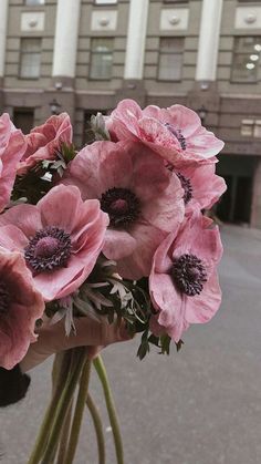 a person holding a bunch of pink flowers in front of a building on a street