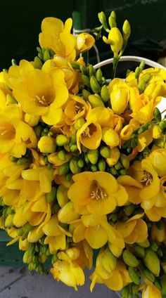 the yellow flowers are blooming on the plant