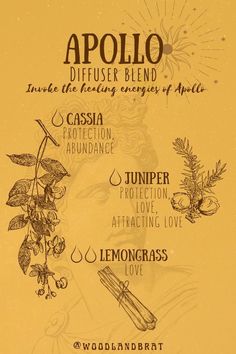 an image of the words in different languages on a yellow background with flowers and leaves