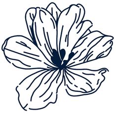 a black and white drawing of a flower