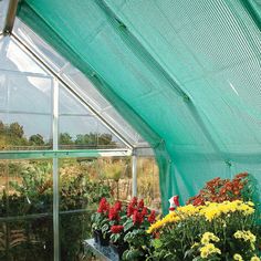 there are many flowers in the greenhouse