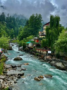 a river running through a lush green forest filled with lots of trees next to tall buildings