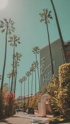 palm trees line the street in front of a building