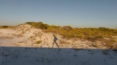 the shadow of a person standing on top of a sandy hill next to trees and bushes