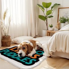 a brown and white dog laying on top of a rug