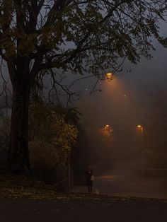 a person standing under a street light on a foggy night in the city park